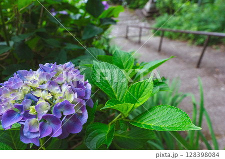 250708神明神社z024 128398084