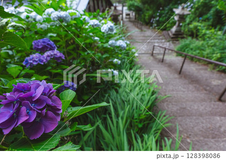 250708神明神社z026 250708神明神社z026 128398086