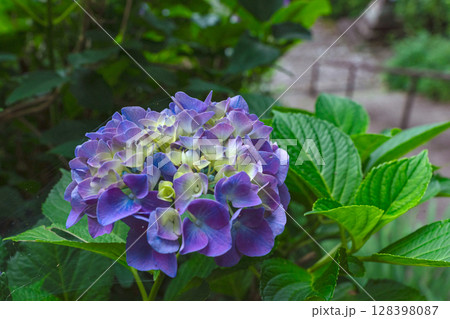 250708神明神社z027 250708神明神社z027 128398087