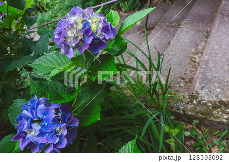 250708神明神社z031 250708神明神社z031 128398092