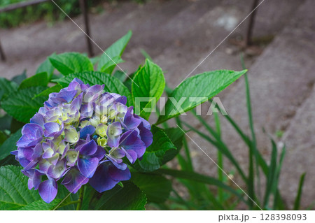 250708神明神社z032 128398093