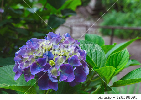 250708神明神社z035 250708神明神社z035 128398095