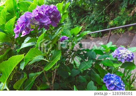 250708神明神社z044 128398101