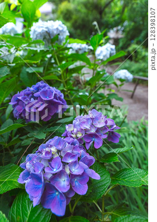 250708神明神社z053 128398107