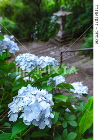 250708神明神社z059 128398111