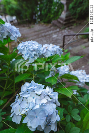 250708神明神社z061 128398113