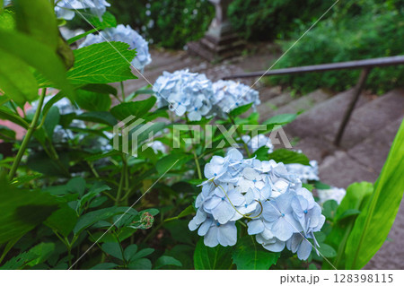 250708神明神社z063 128398115