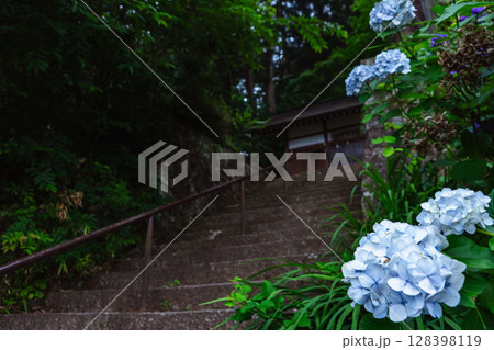 250708神明神社z068 128398119
