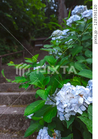 250708神明神社z071 128398120