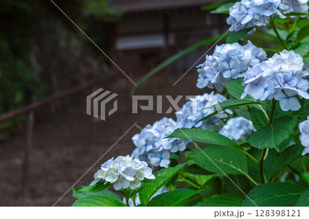 250708神明神社z072 128398121