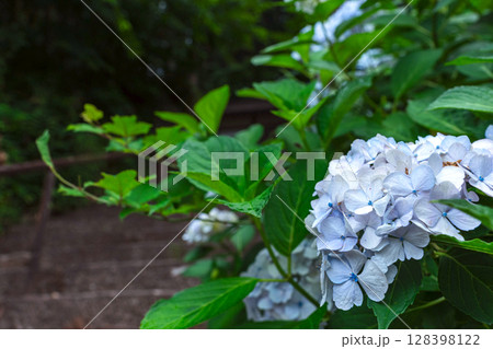 250708神明神社z074 128398122