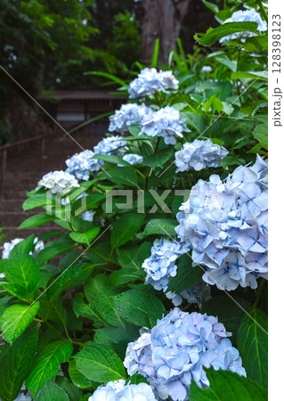 250708神明神社z076 128398123