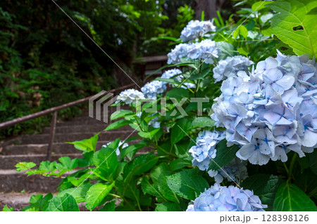 250708神明神社z079 128398126