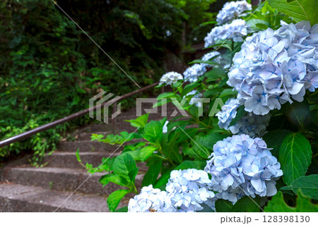 250708神明神社z086 128398130