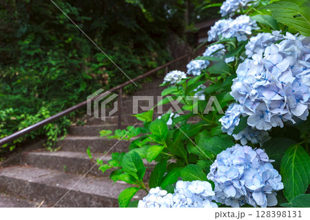 250708神明神社z087 250708神明神社z087 128398131