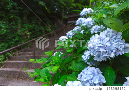 250708神明神社z089 128398132