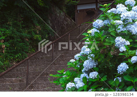 250708神明神社z092 250708神明神社z092 128398134