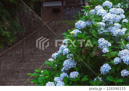 250708神明神社z093 128398135