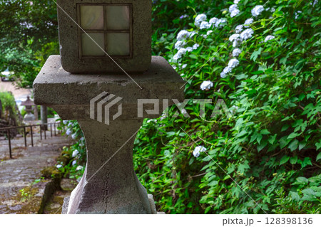 250708神明神社z094 128398136