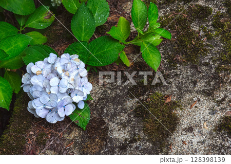 250708神明神社z097 128398139