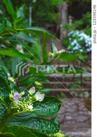 250708神明神社z105 128398146