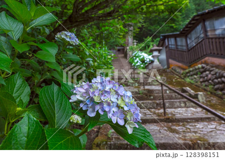 250708神明神社z111 250708神明神社z111 128398151