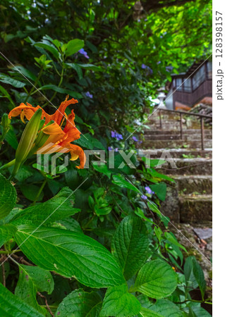 250708神明神社z120 128398157