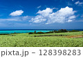 サトウキビ畑と海 128398283