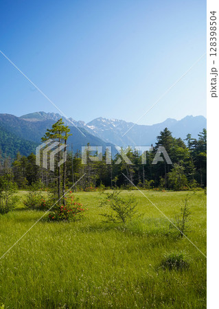 長野　上高地　北ノ俣岳から見る残雪の北大雪の山並み 128398504
