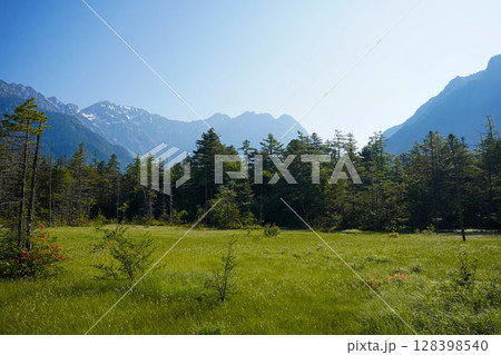 長野　上高地　新緑のカラマツ林と残雪の山並み 128398540