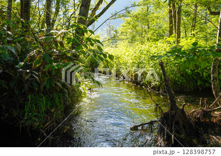 長野　上高地　小川のある風景 128398757