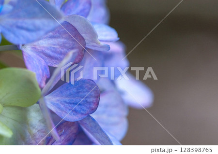 250708神明神社m124 128398765