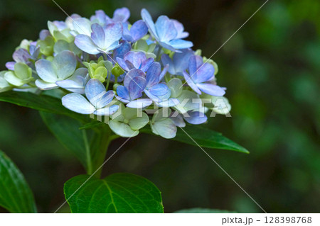 250708神明神社m127 250708神明神社m127 128398768