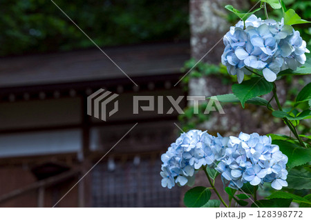 250708神明神社m135 128398772