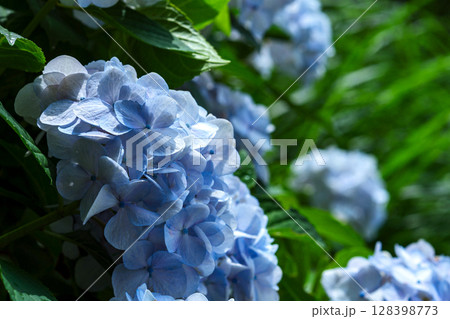 250708神明神社m136 128398773