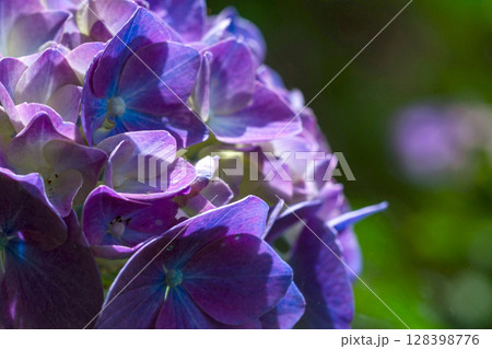 250708神明神社m139 128398776