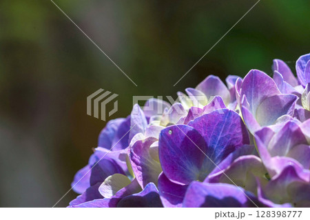 250708神明神社m140 128398777