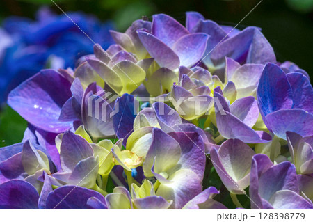 250708神明神社m142 250708神明神社m142 128398779