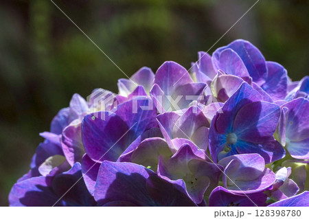 250708神明神社m143 128398780