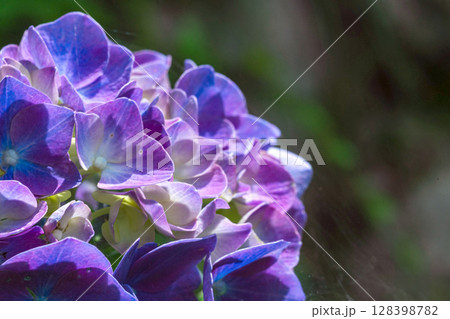 250708神明神社m145 128398782