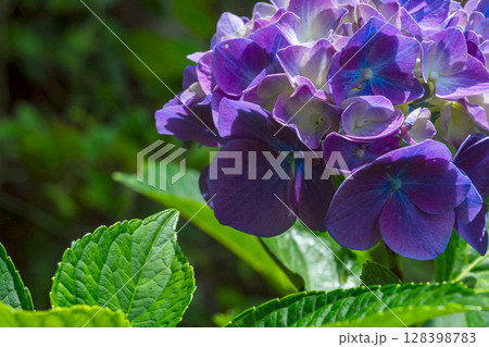 250708神明神社m149 128398783