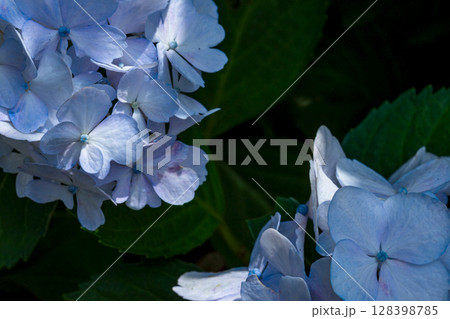 250708神明神社m157 128398785