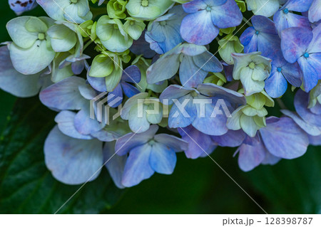 250708神明神社m162 250708神明神社m162 128398787