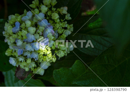 250708神明神社m166 128398790