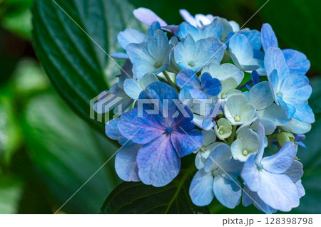 250708神明神社m182 128398798