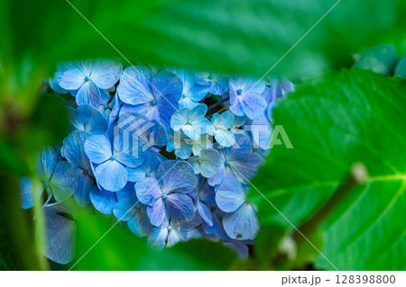 250708神明神社m187 128398800