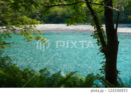 長野 上高地 エメラルドグリーンの美しい清流 長野 上高地 エメラルドグリーンの美しい清流 128398855