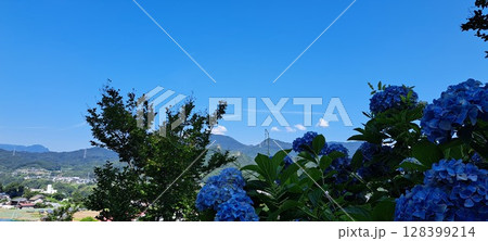 紫陽花のある風景 128399214