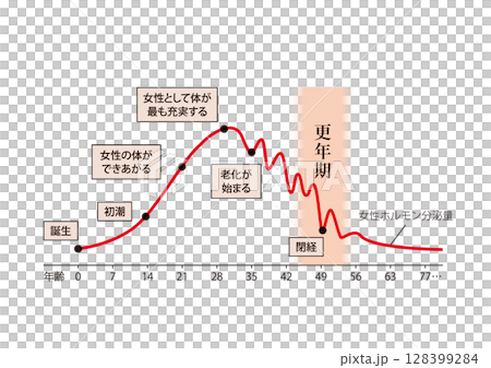 東洋医学 女性の一生 更年期 女性ホルモンの変化（年齢七の倍数ver） 128399284