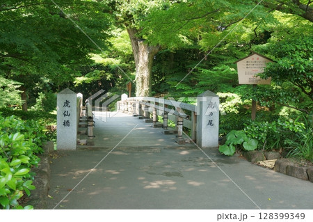 日本庭園にある橋 虎仙橋 徳川園 日本庭園にある橋 虎仙橋 徳川園 128399349